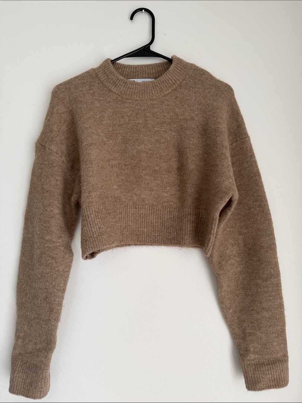 Zara Cropped Crewneck Sweater in Light Brown